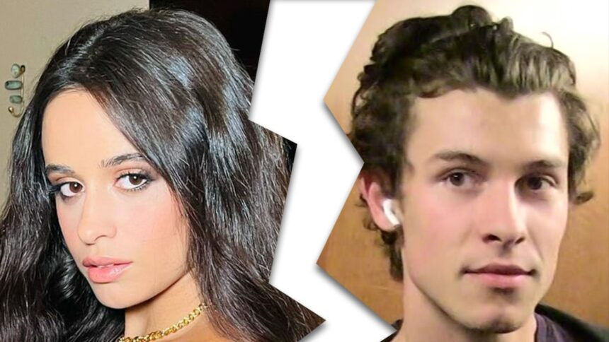 Camila Cabello and Shawn Mendes Announce Split