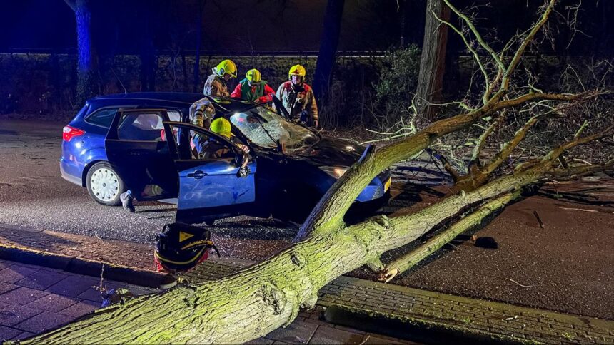 Storm Dudley is ook in Nederland een feit: gemiddeld windkracht 9 bij IJmuiden