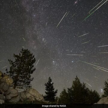 The 2024 Perseid Meteor Shower To Peak Tonight: Where And How To Watch