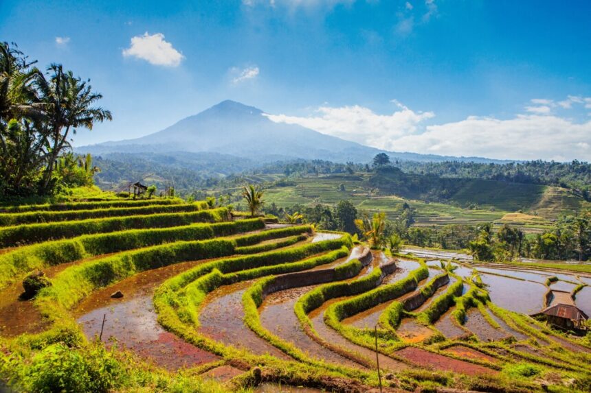 Indonésie. Thibault, 14 ans, a disparu à Bali après avoir gravi le mont Batukaru à Bali