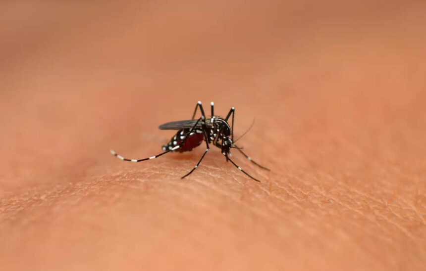 International: New York resident dies of rare mosquito-borne virus known as eastern equine encephalitis, ET HealthWorld