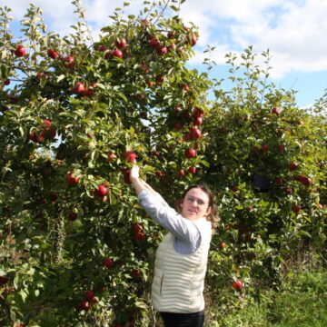 Cotentin. Cueillette, producteurs et artisans… Cette traditionnelle Fête de la pomme revient