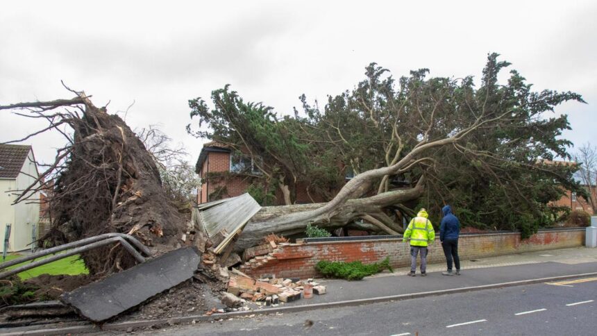 Sturm “Darragh” legt Verkehr auf Britischen Inseln lahm