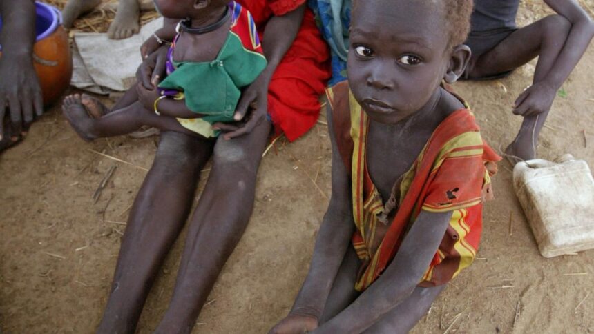 « Les gens meurent déjà » ou les coulisses de l’impuissance onusienne